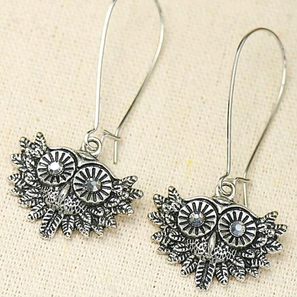 🔥LAST PAIR🔥 Owl Vintage Style Long Drop Earrings - Picture 5 of 6